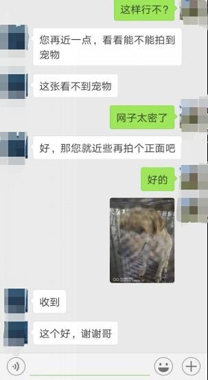 三亚机场：推出“宠物机票”服务 与主人来一次“说走就走”的旅行